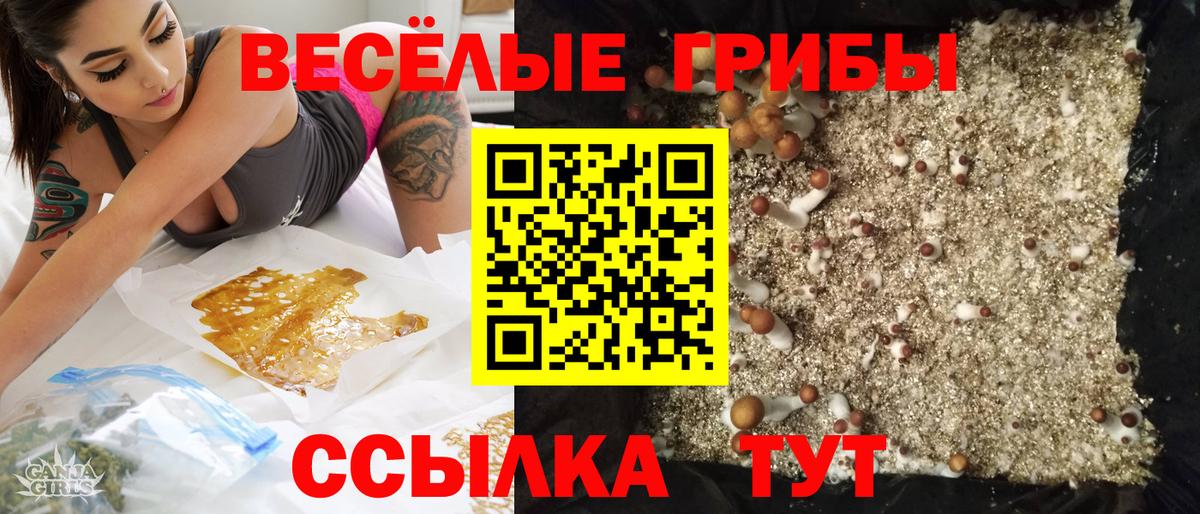 Борисоглебск  Галлюциногенные грибы мухоморы  Вход с VPN 