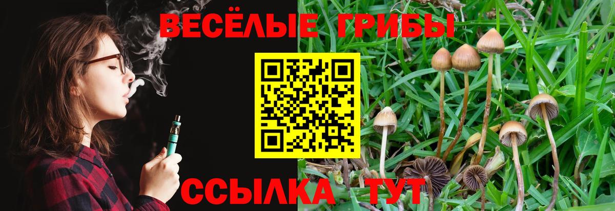 Галлюциногенные грибы мицелий Борисоглебск